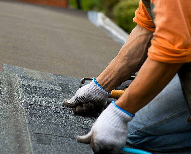 Best Metal Roofing Contractor  in Grand Ledge, MI
