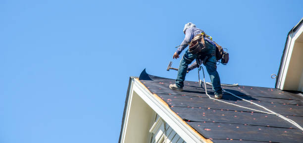 Residential Roof Replacement in Grand Ledge, MI